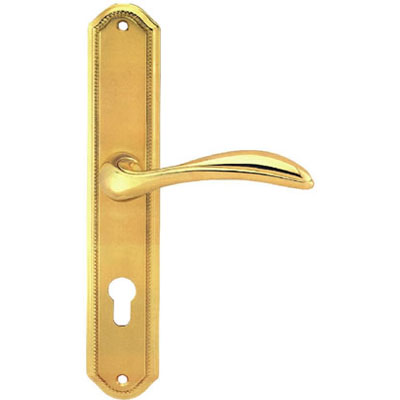 Brass Handle with Plate